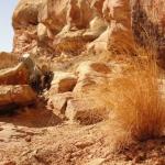 Capital Reef National Park - Utah 